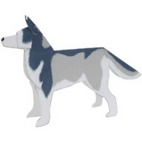 西伯利亞雪撬犬 Shiberian Husky