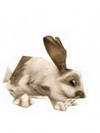 Rabbit Papercraft