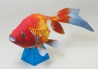 goldFish 金魚