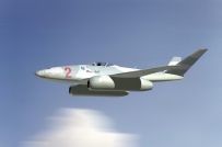 ME-262 swallow