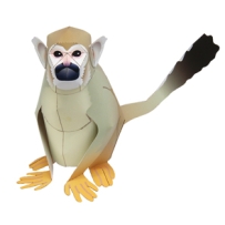 松鼠猴屬/squirrel-monkey