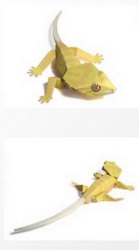 crested_gecko