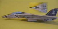F-14 JOLLY ROGERS-2 (Ojimak 版)