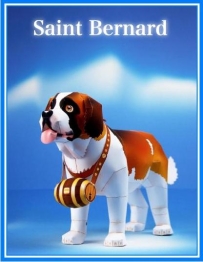 聖伯納犬Saint Bernard (Sao bernardo)
