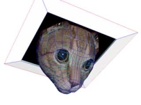Ceiling Cat Papercraft 2