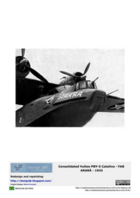 Consolidated PBY-5 Catalina Arara - FAB