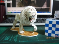 [成品]白獅