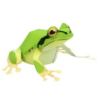 雨蛙Animal Papercraft - Tree Frog
