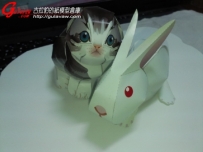 白兔+小貓+松鼠+便當~♥