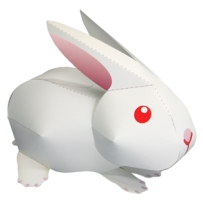 rabbit saito/兔子