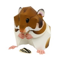 金田鼠Animal Papercraft - Syrian Hamster