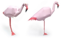 Fiamingo