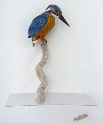 Branch for the Kingfisher