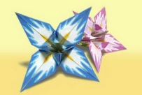 Origami Series Iris