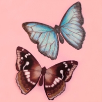 Paint Your Own Butterfly