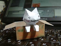 箱子內的小貓 - sii cat
