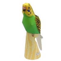 虎皮鸚鵡Animal Papercraft - Budgerigar Bird
