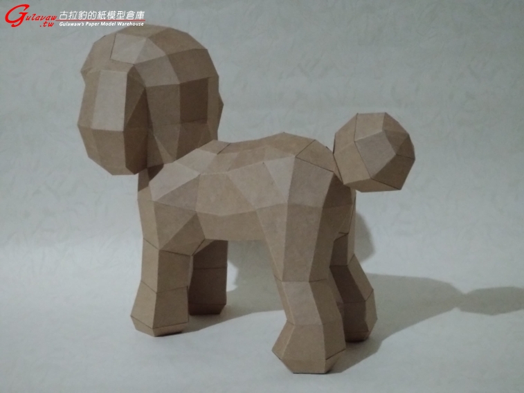 貴賓犬 (4).JPG