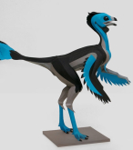 尾羽龍 caudipteryx (Egon Mint 版)