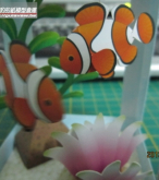 [成品]小丑魚水族箱