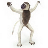 SIFAKA