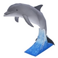 Bottlenose Dolphin