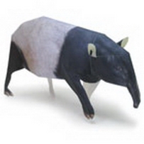 TAPIR