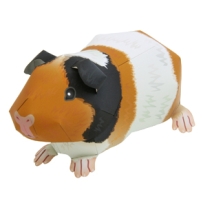 荷蘭豬 (Guinea Pig)