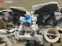 GP03 dendrobium