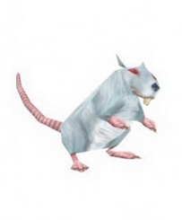 Rat Papercraft