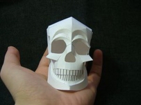 Skull