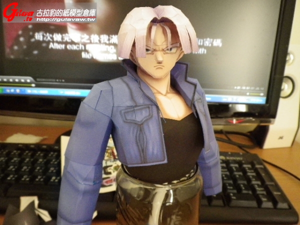 Trunks_07.JPG